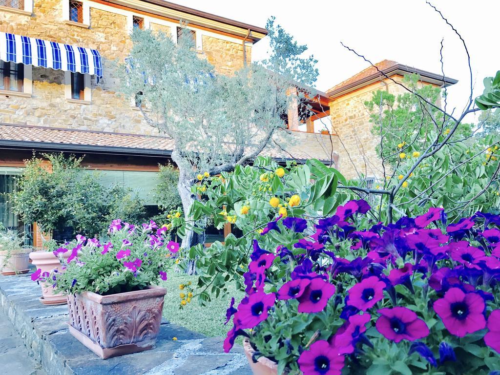 Casa Vacanze Il Cenito Кастеллабате Экстерьер фото
