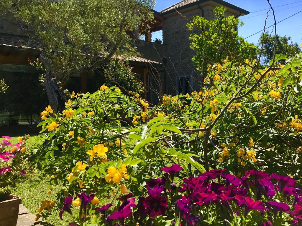 Casa Vacanze Il Cenito Кастеллабате Экстерьер фото
